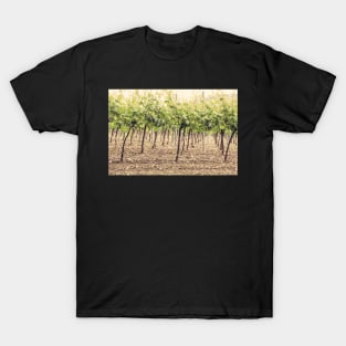 Vineyard T-Shirt